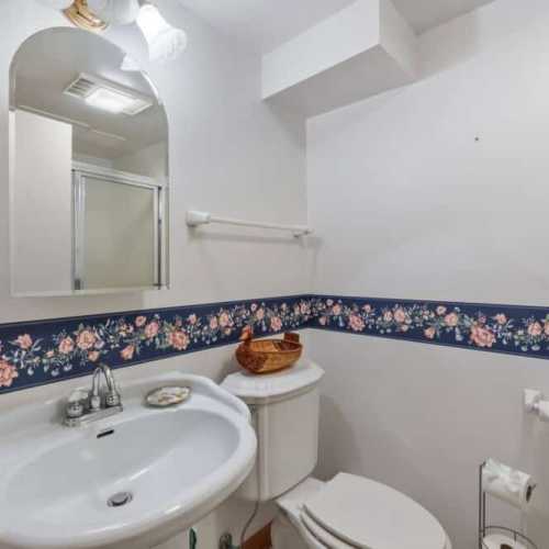 Bathroom 2: Full bathroom with a shower in the basement