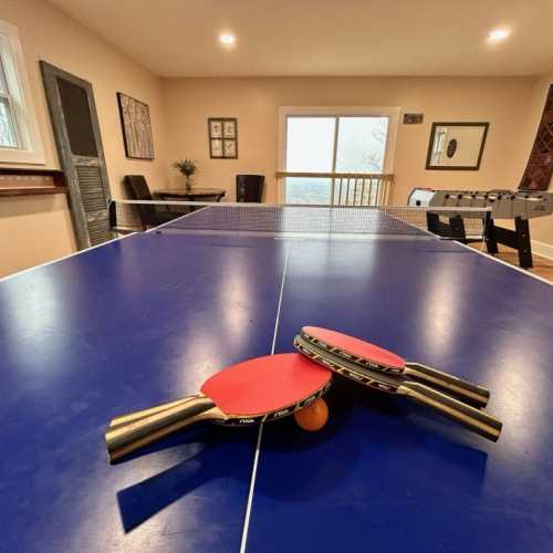Garage game room