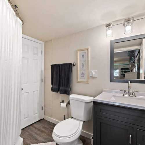 Bathroom #3: full bath on lower level with shower