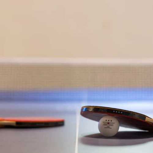 Enjoy a game of ping pong in the garage (just off the dining room)!