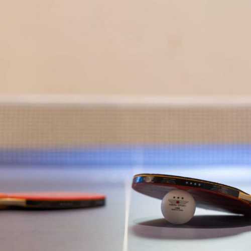 Enjoy a game of ping pong in the garage (just off the dining room)!