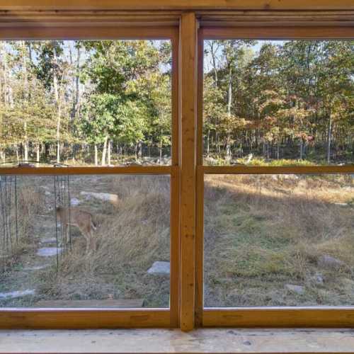 Bedroom #2: Be prepared for deer and other furry friends in the backyard!