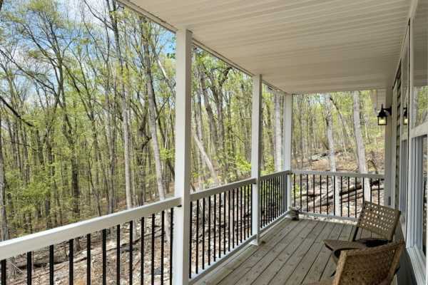 The Blue Jay | New House in the Woods