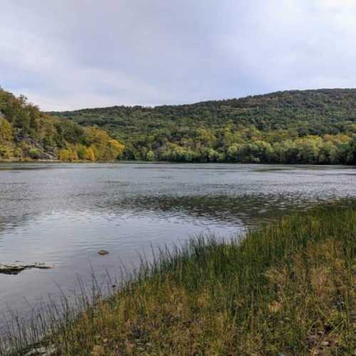 The river is a difficult 15 minute walk  from the house: through dense woods with bugs and critters, down (and then back up) a steep hill.  It's not for the faint of heart! But this is what awaits you.