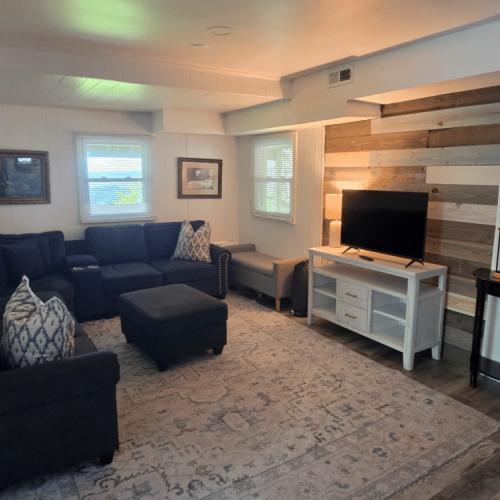 Lower level media room