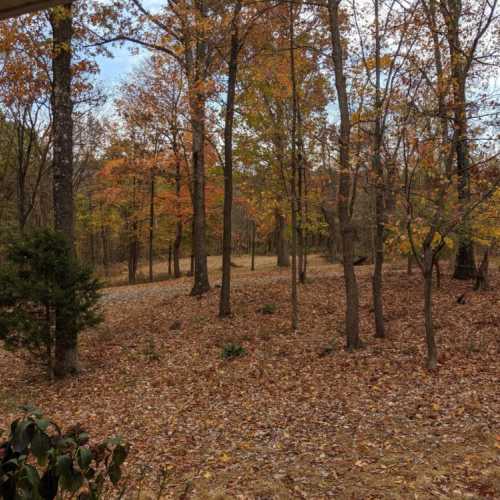 The view from the front porch