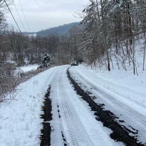 The last 100 yards of the road will have you making a hairpin turn to drive up a steep paved road to the top of a hill. When it snows, going up or down this hill will be very difficult to do without four wheel drive, snow tires, and/or chains. Please be prepared! We have had guests in the past who were not able to make it up the hill in a snowstorm.