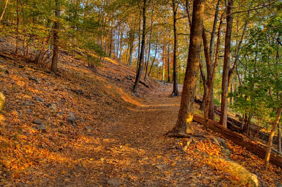 8 Best Hiking Trails in Harpers Ferry