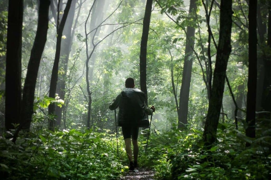 10 Incredible Outdoor Activities in Harpers Ferry